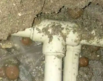 焉耆测漏水多少钱