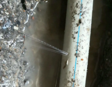 焉耆测漏水哪家好