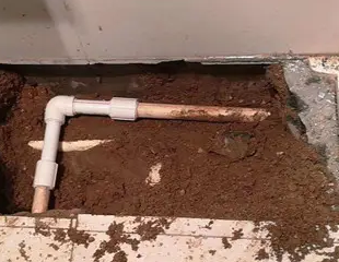 焉耆测漏水哪家好