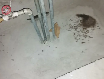 焉耆卫生间测漏水价格明细