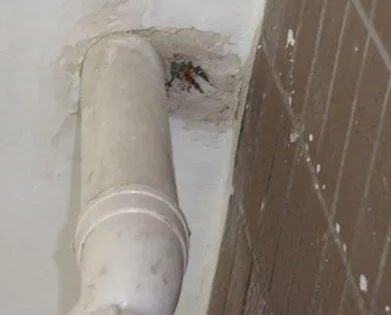 焉耆漏水检测哪家好